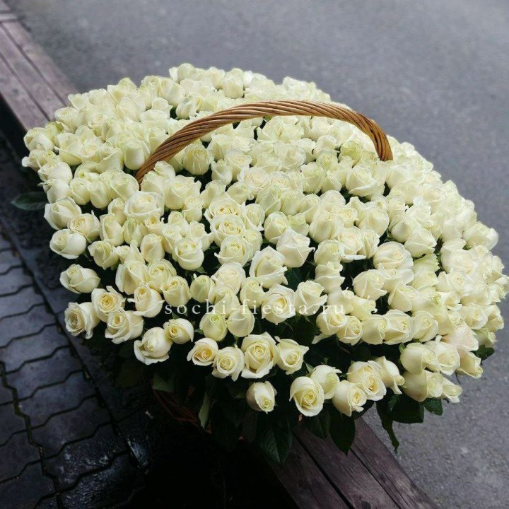 303 розы в корзине в Сочи