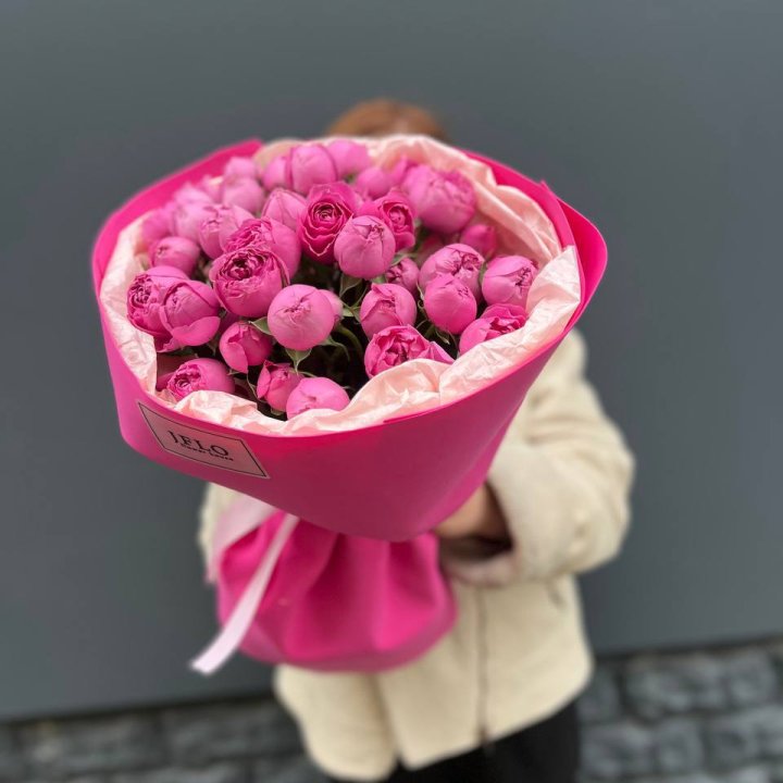 11 мисти баблс в Сочи