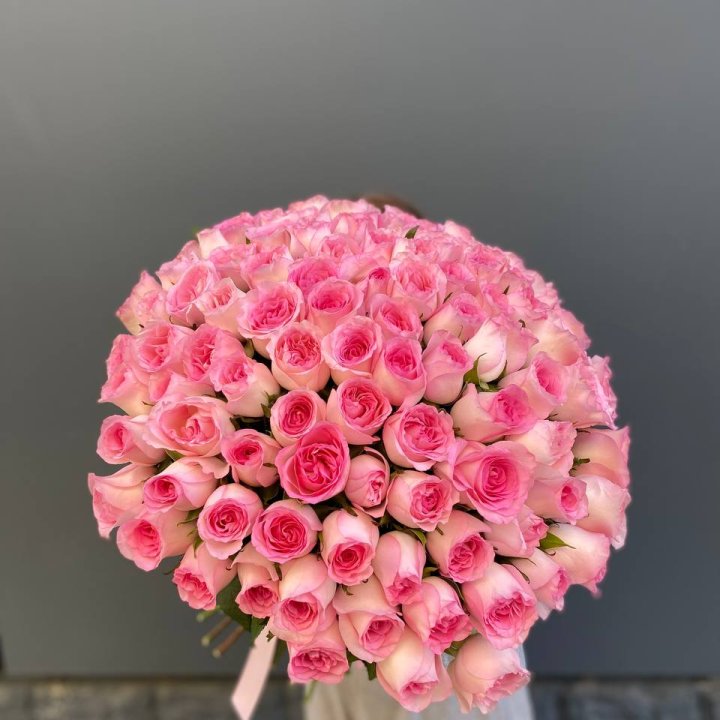 101 розовая роза в Сочи