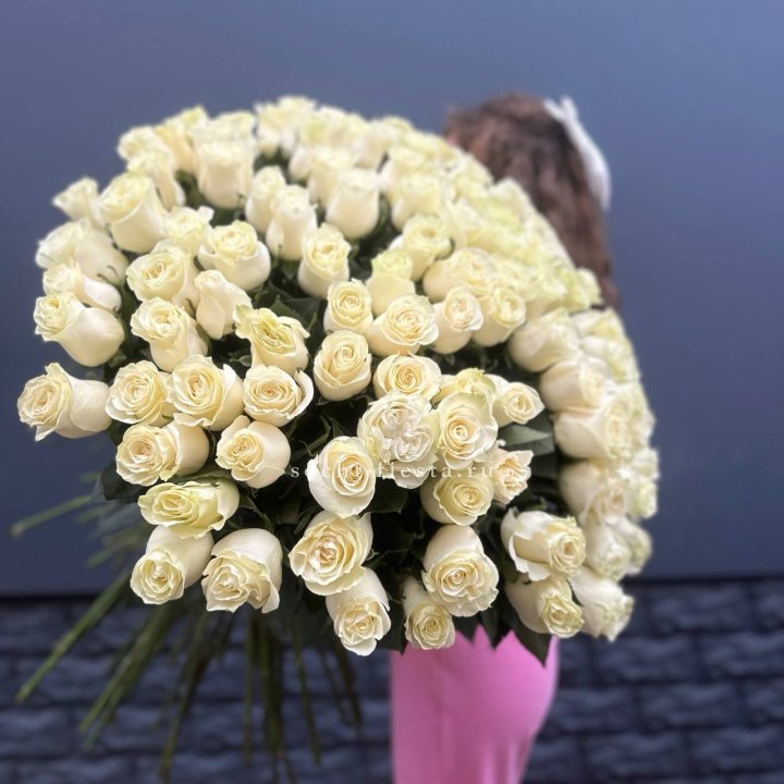 101 белая высокая импортная роза под ленту в Сочи