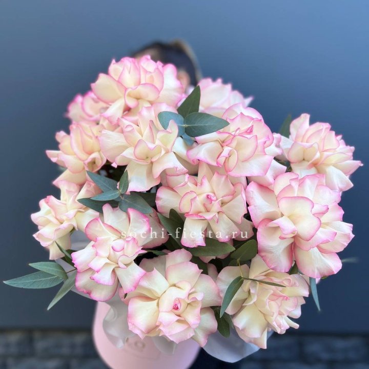 15 Французских роз Джумилия в боксе в Сочи