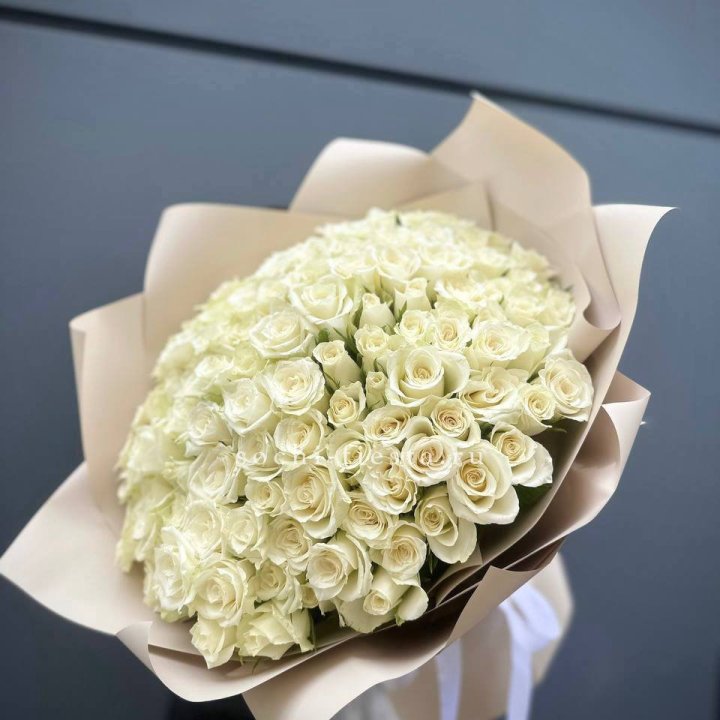 101 белая роза Атена в Сочи