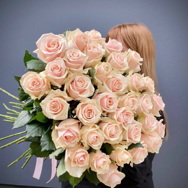 35 кремовых высоких роз в Сочи