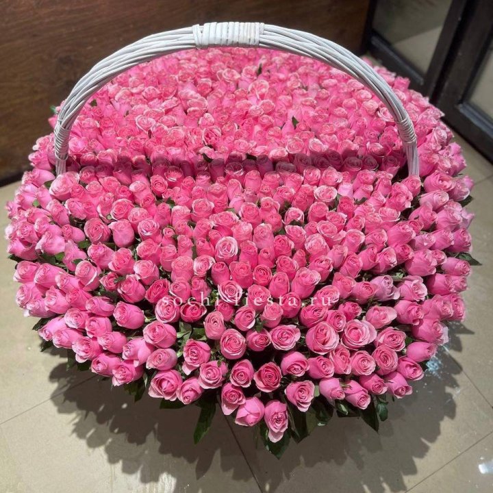 501 розовая роза в Сочи