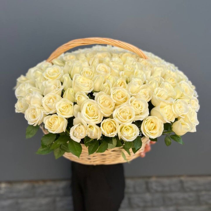 151 белая роза в корзине Rose Basket  в Сочи