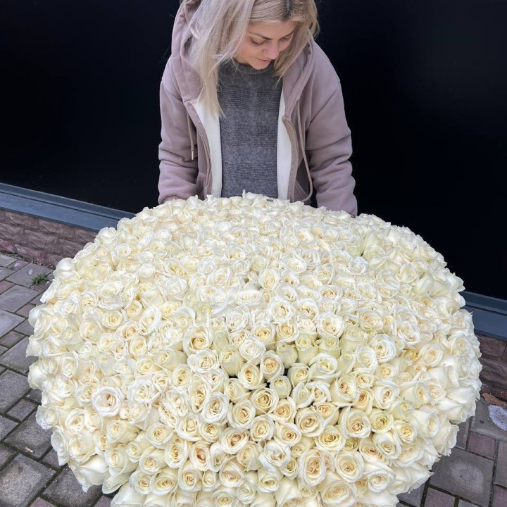 501 белая роза в корзине в Сочи