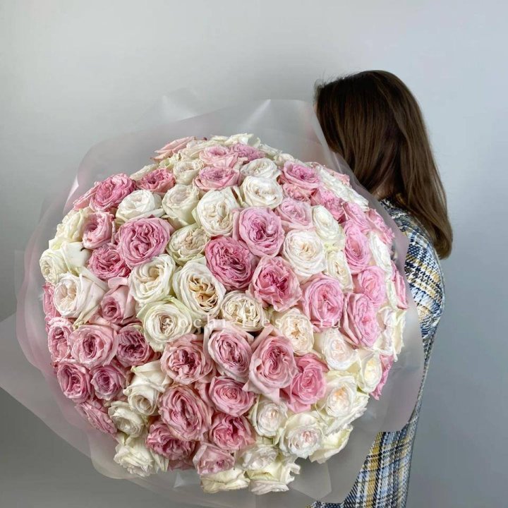 101 роз Охара в Сочи