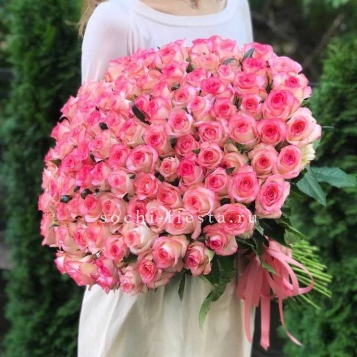 101  джумилия роза  в Сочи