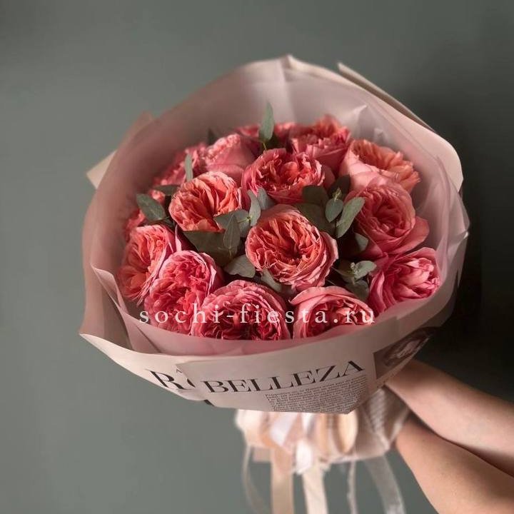 15 Пинк экспрешен в Сочи