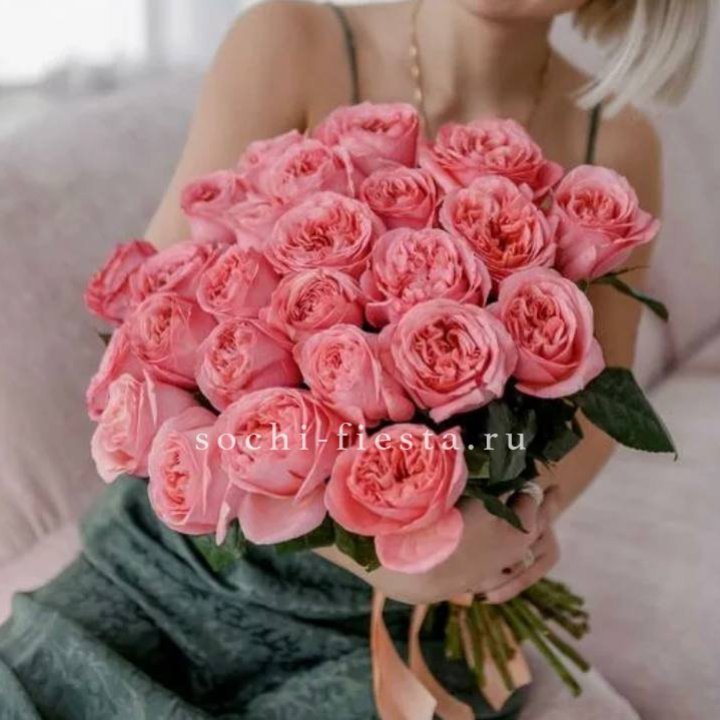 25 Пинк экспрешен  в Сочи