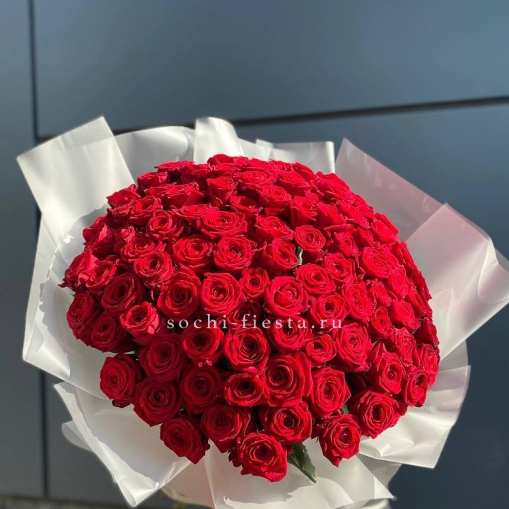 101 высокая роза в Сочи