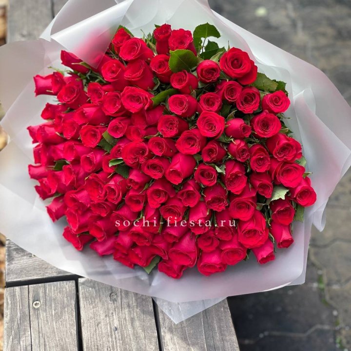 101 красная роза Лолита в Сочи