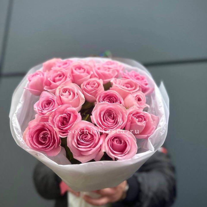21 Розовая роза в белом в Сочи