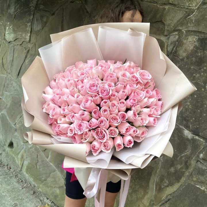 101 нежно-розовая роза Каролина  в Сочи