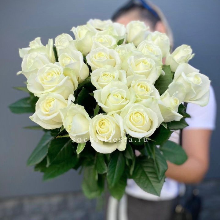 Голландские розы White 25 с доставкой в Сочи