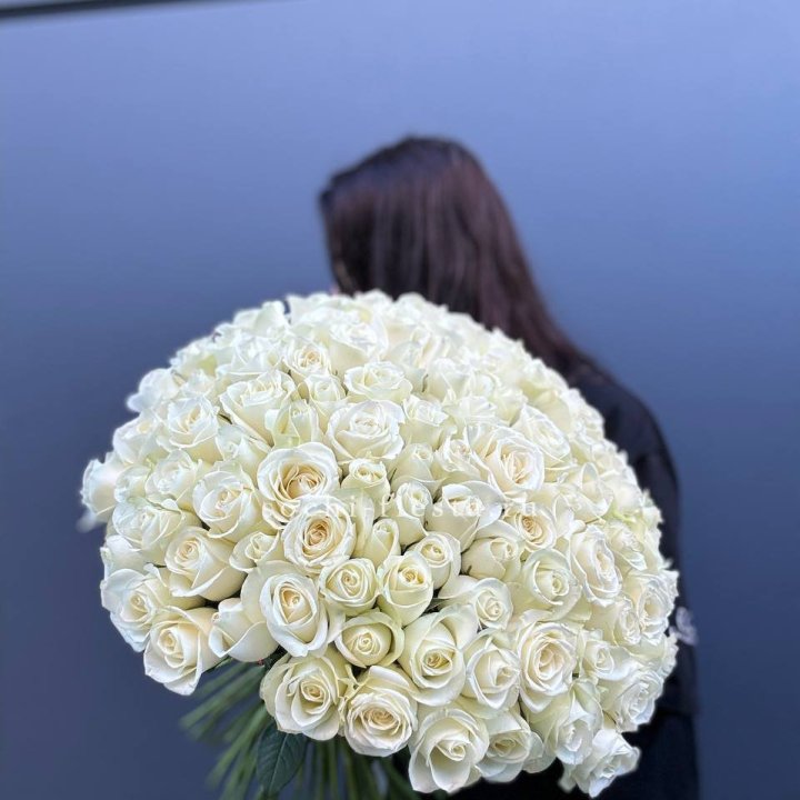 Охапка из 101 белой розы  с доставкой в Сочи