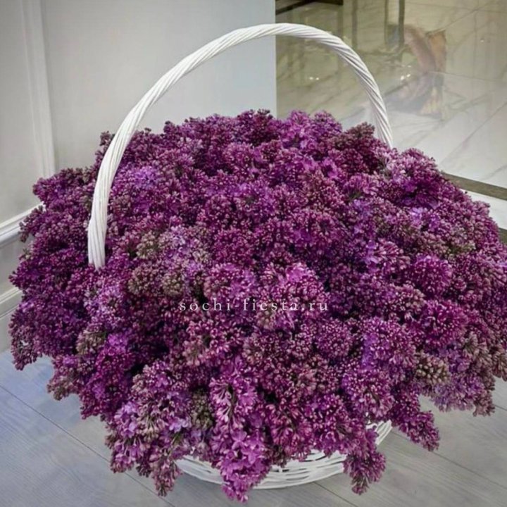 Корзина сирени в Сочи