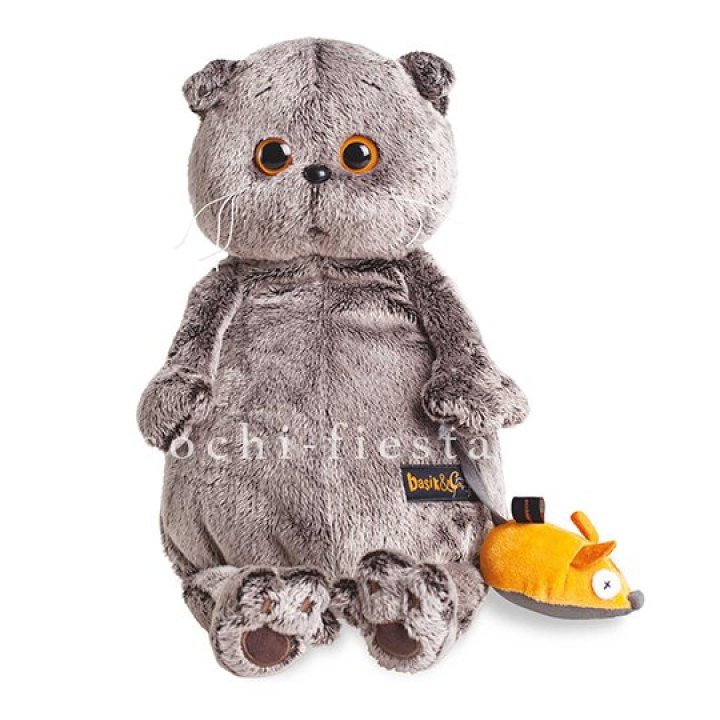 Кот Басик с мышкой в Сочи