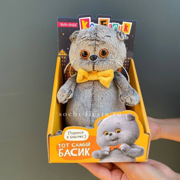 Кот Басик с бабочкой в Сочи