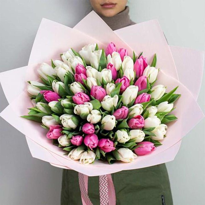 61 бело-розовый тюльпан в Сочи