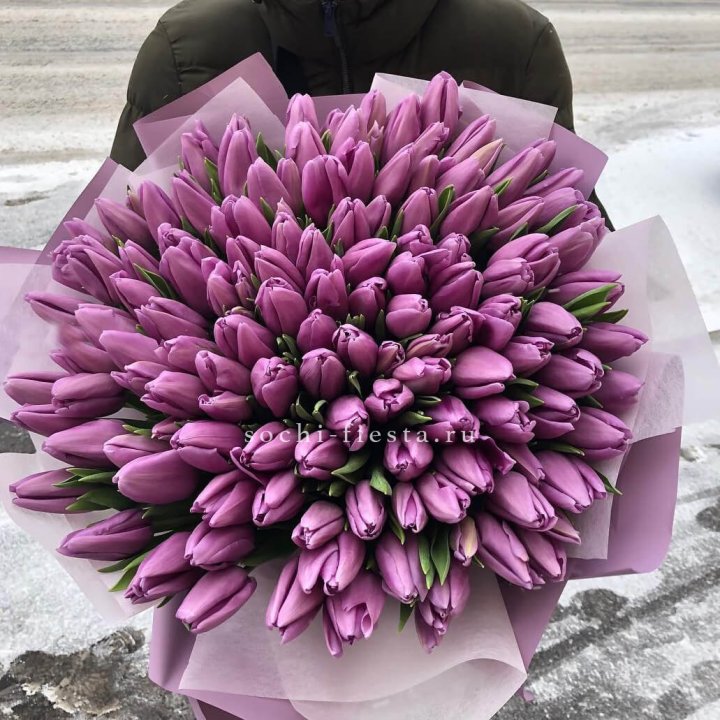 101 сиреневый тюльпан в Сочи