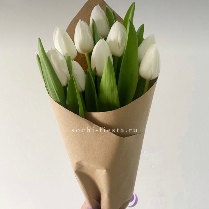 Букет белых тюльпанов в Сочи
