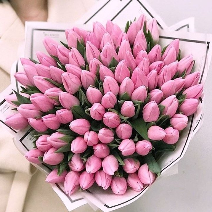 101 розовый тюльпан в белом в Сочи