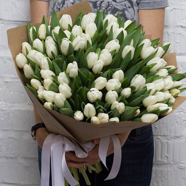 101 тюльпан SNOW в Сочи