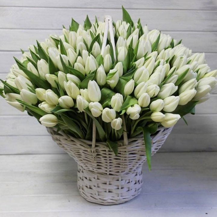 Корзина из 151 тюльпана в Сочи