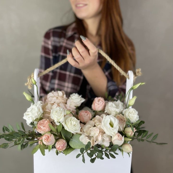 Woodbox Mini в Сочи