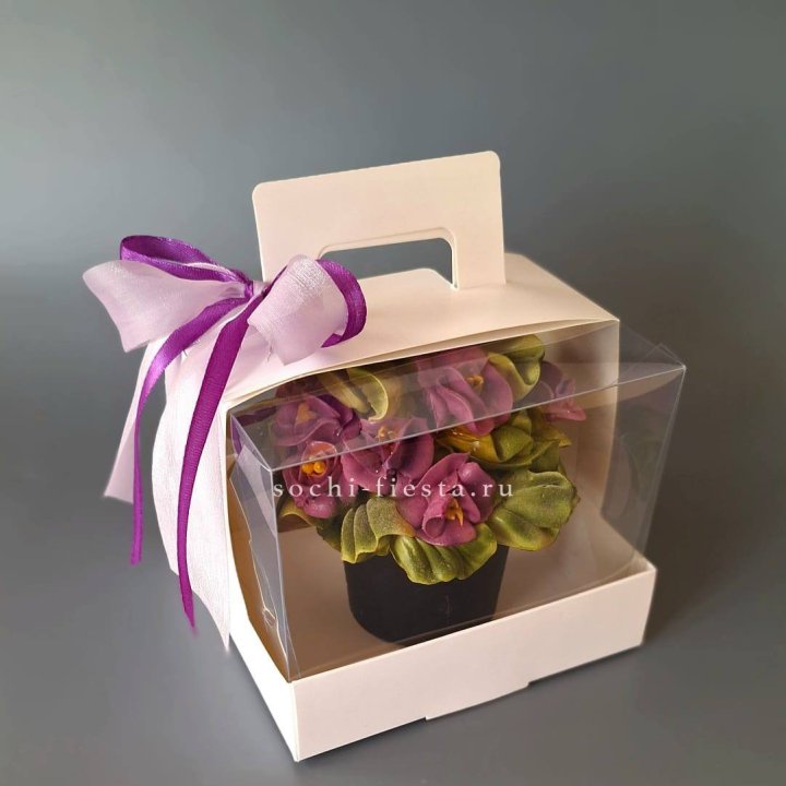  Зефир "Фиалка" в Сочи